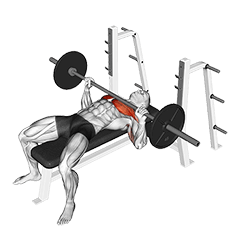 Exercise library demo